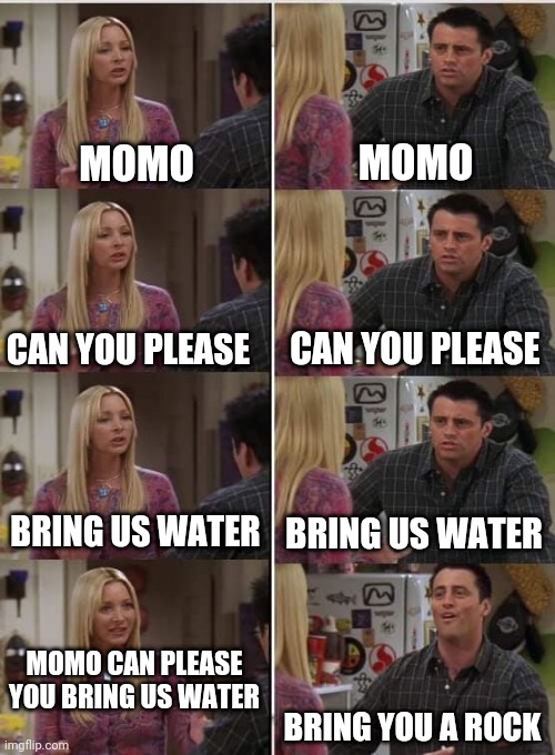 Phoebe Joey | MOMO; MOMO; CAN YOU PLEASE; CAN YOU PLEASE; BRING US WATER; BRING US WATER; MOMO CAN PLEASE YOU BRING US WATER; BRING YOU A ROCK | image tagged in phoebe joey | made w/ Imgflip meme maker