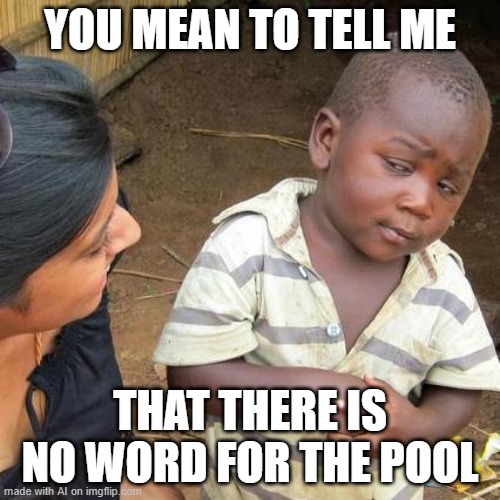 AI meme | YOU MEAN TO TELL ME; THAT THERE IS NO WORD FOR THE POOL | image tagged in memes,third world skeptical kid | made w/ Imgflip meme maker