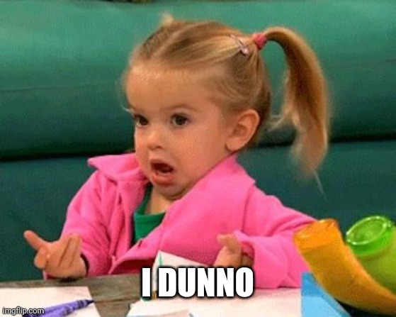 I don't know (Good Luck Charlie) | I DUNNO | image tagged in i don't know good luck charlie | made w/ Imgflip meme maker