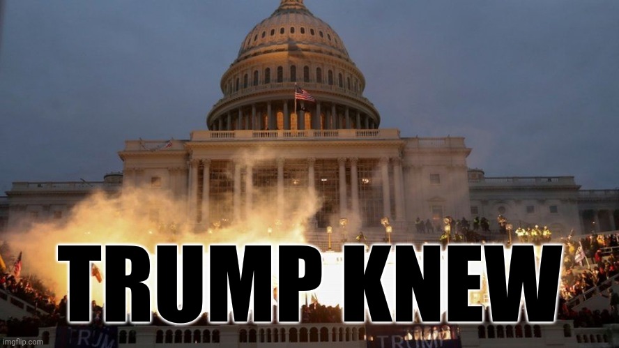Capitol Riot - Trump Coup | TRUMP KNEW | image tagged in capitol riot - trump coup,treason,conspiracy theory,violent,maga,plans | made w/ Imgflip meme maker
