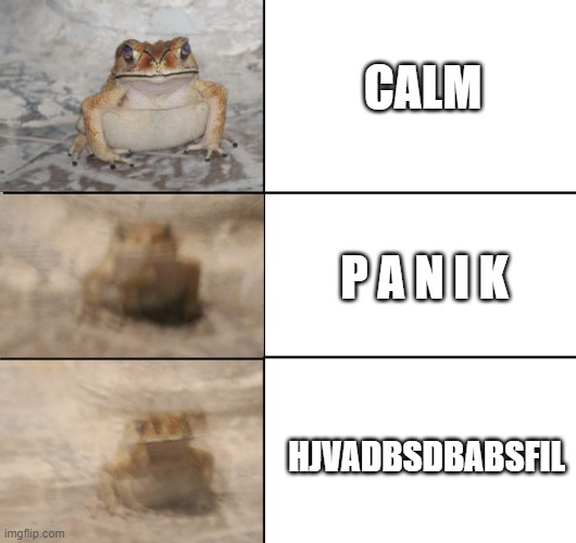 Toad go brr | CALM; P A N I K; HJVADBSDBABSFIL | image tagged in toad go brr | made w/ Imgflip meme maker