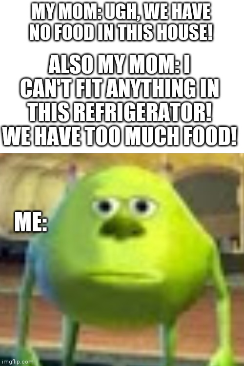 Bruh you just said...nevermind | MY MOM: UGH, WE HAVE NO FOOD IN THIS HOUSE! ALSO MY MOM: I CAN'T FIT ANYTHING IN THIS REFRIGERATOR! WE HAVE TOO MUCH FOOD! ME: | image tagged in blank white template,bruh,what | made w/ Imgflip meme maker