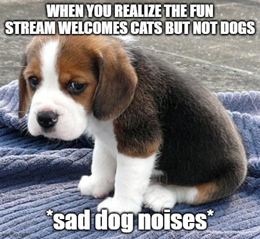 sad dog | WHEN YOU REALIZE THE FUN STREAM WELCOMES CATS BUT NOT DOGS; *sad dog noises* | image tagged in sad dog | made w/ Imgflip meme maker