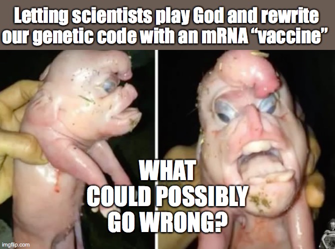 mRNA vaccines--what could possibly go wrong? | WHAT COULD POSSIBLY GO WRONG? Letting scientists play God and rewrite our genetic code with an mRNA “vaccine” | image tagged in mrna vaccine,genetic,modification,engineering,gmo,effects | made w/ Imgflip meme maker