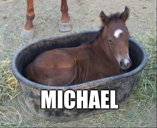 Michael | MICHAEL | image tagged in horse,new meme | made w/ Imgflip meme maker