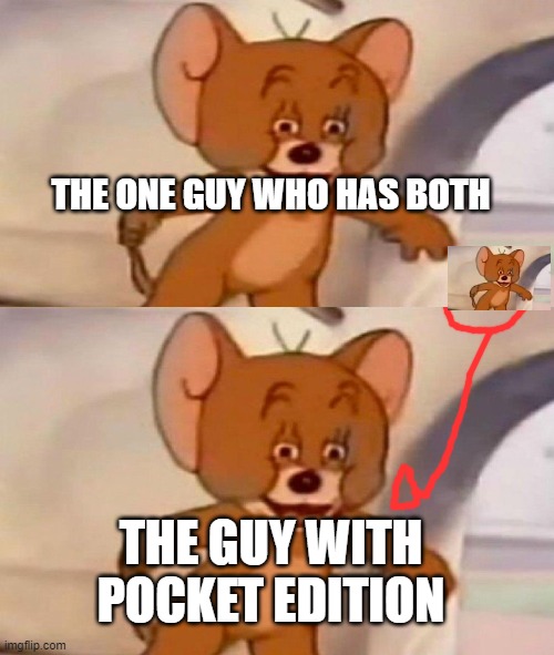 Tom and Jerry swordfight | THE ONE GUY WHO HAS BOTH THE GUY WITH POCKET EDITION | image tagged in tom and jerry swordfight | made w/ Imgflip meme maker