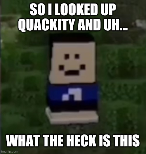 SMOL QUACKITY POG! | SO I LOOKED UP QUACKITY AND UH... WHAT THE HECK IS THIS | image tagged in little q | made w/ Imgflip meme maker