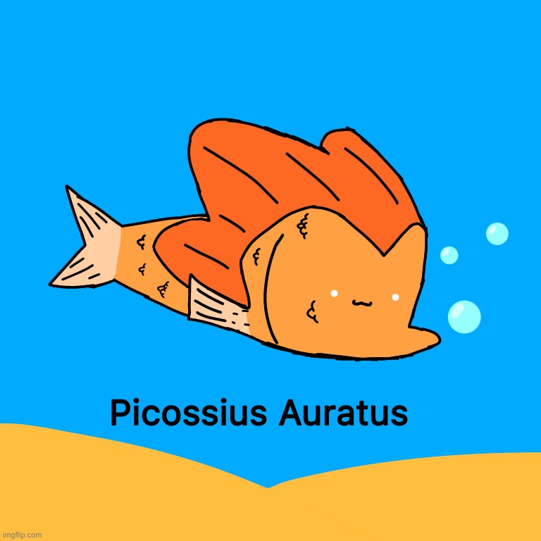 Goldfish go bl0p bl0p | image tagged in picossius auratus | made w/ Imgflip meme maker