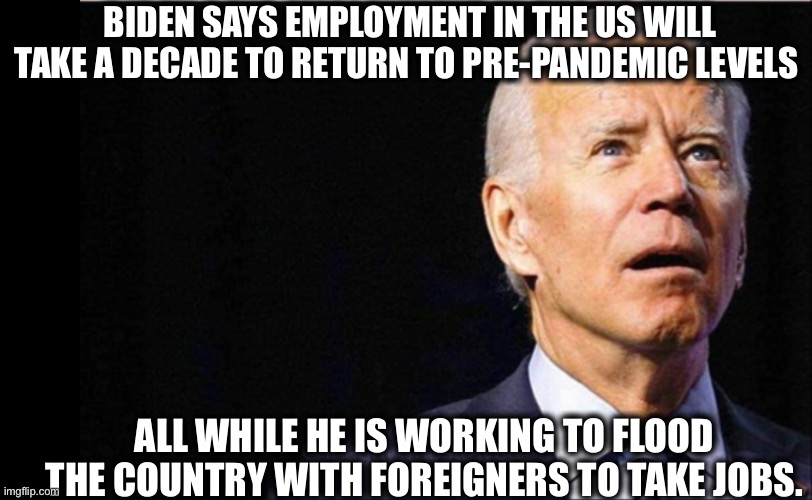 You can’t make this stuff up | BIDEN SAYS EMPLOYMENT IN THE US WILL TAKE A DECADE TO RETURN TO PRE-PANDEMIC LEVELS; ALL WHILE HE IS WORKING TO FLOOD THE COUNTRY WITH FOREIGNERS TO TAKE JOBS. | image tagged in joe biden,employment,illegal immigration,open borders,memes,stupid | made w/ Imgflip meme maker