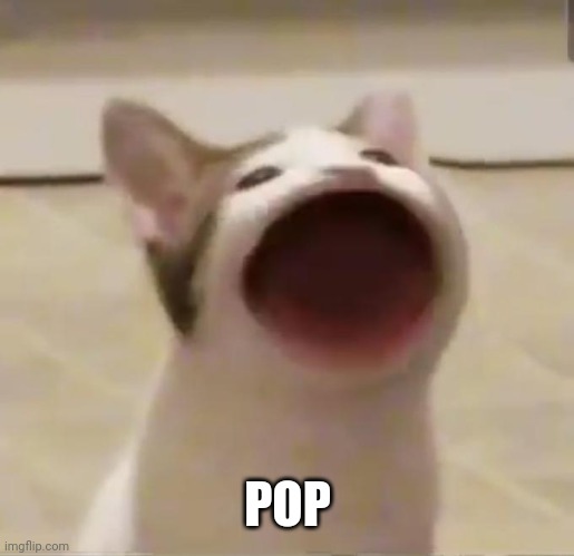 Pop Cat | POP | image tagged in pop cat | made w/ Imgflip meme maker