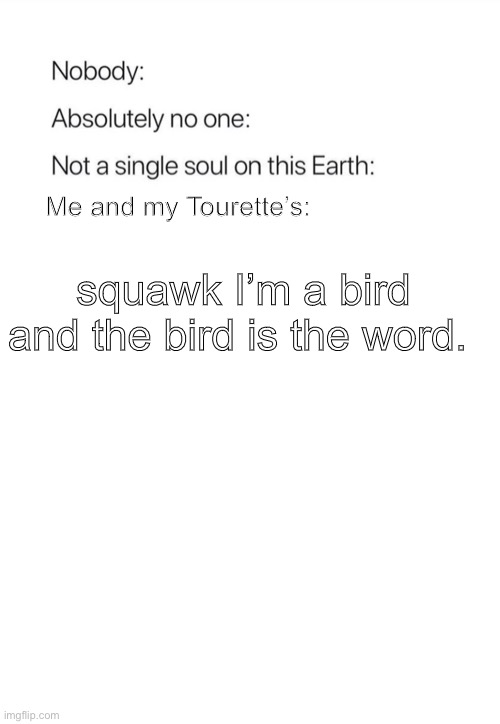 Nobody:, Absolutely no one: | squawk I’m a bird and the bird is the word. Me and my Tourette’s: | image tagged in nobody absolutely no one | made w/ Imgflip meme maker