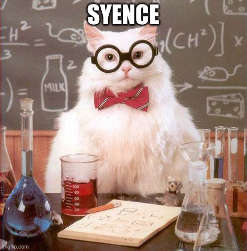 Science Cat | SYENCE | image tagged in science cat | made w/ Imgflip meme maker