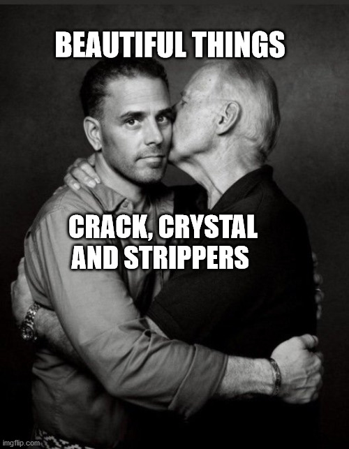 Hunter Biden | BEAUTIFUL THINGS; CRACK, CRYSTAL AND STRIPPERS | image tagged in hunter biden | made w/ Imgflip meme maker