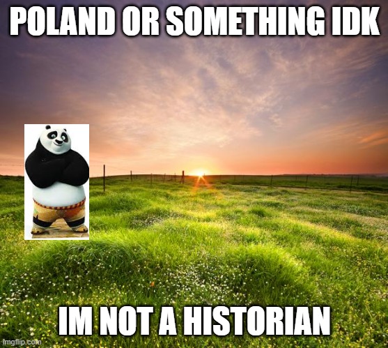 wot? im not wrong | POLAND OR SOMETHING IDK; IM NOT A HISTORIAN | image tagged in po,poland | made w/ Imgflip meme maker