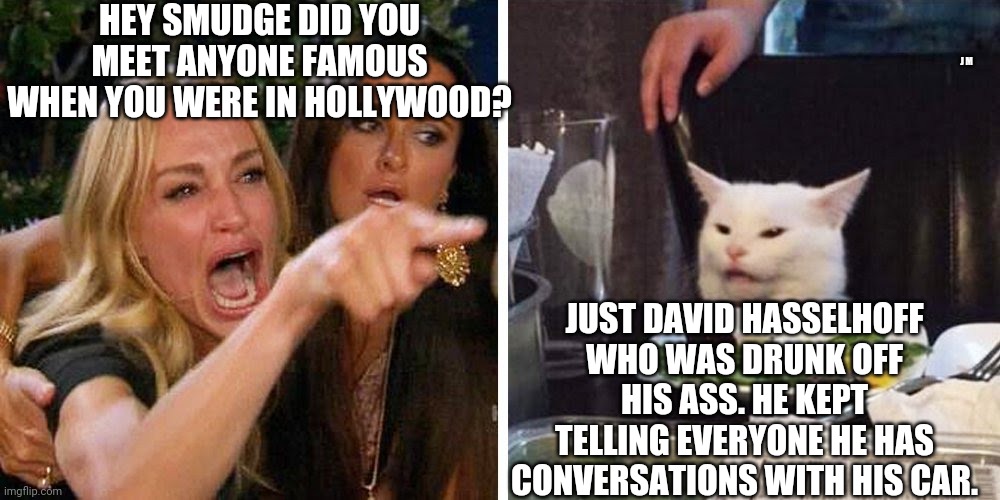 Smudge the cat | HEY SMUDGE DID YOU MEET ANYONE FAMOUS WHEN YOU WERE IN HOLLYWOOD? J M; JUST DAVID HASSELHOFF WHO WAS DRUNK OFF HIS ASS. HE KEPT TELLING EVERYONE HE HAS CONVERSATIONS WITH HIS CAR. | image tagged in smudge the cat | made w/ Imgflip meme maker