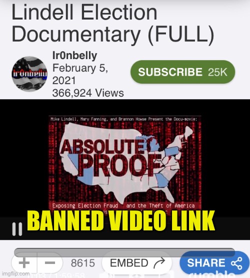See link to video incomments |  BANNED VIDEO LINK | image tagged in pillow,talk,lindell,vote,banned,video | made w/ Imgflip meme maker