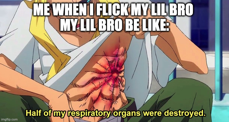 Flick Flick | ME WHEN I FLICK MY LIL BRO 

MY LIL BRO BE LIKE: | image tagged in half of my respiratory organs were destroyed,meme | made w/ Imgflip meme maker