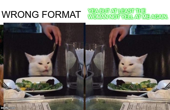 E | WRONG FORMAT; YEA BUT AT LEAST THE WOMAN NOT YELL AT ME AGAIN. | image tagged in memes,woman yelling at cat | made w/ Imgflip meme maker