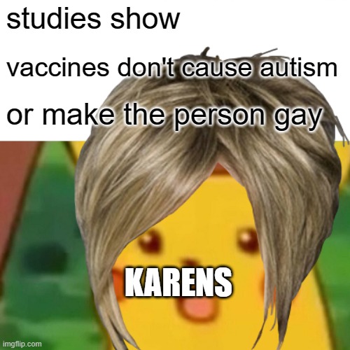 just why | studies show; vaccines don't cause autism; or make the person gay; KARENS | image tagged in karen,pikachu | made w/ Imgflip meme maker