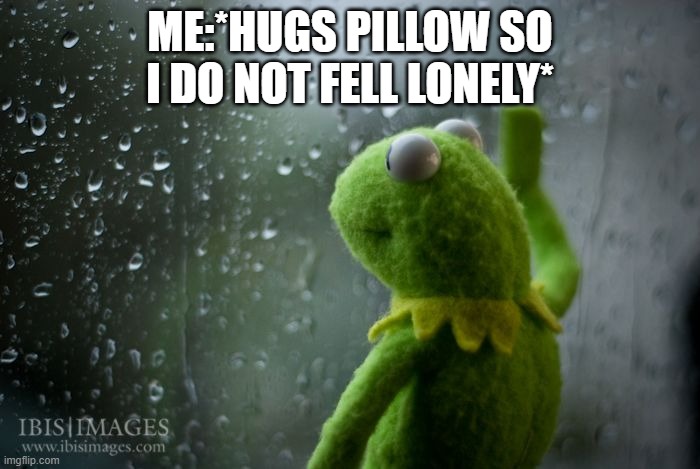 kermit window | ME:*HUGS PILLOW SO I DO NOT FELL LONELY* | image tagged in kermit window | made w/ Imgflip meme maker