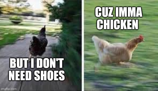 running chicken | BUT I DON'T NEED SHOES CUZ IMMA CHICKEN | image tagged in running chicken | made w/ Imgflip meme maker