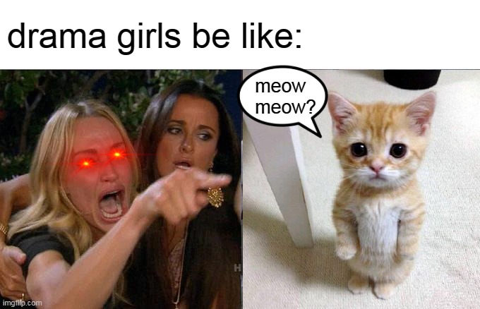 this is why i hate dramaz |  drama girls be like:; meow meow? | image tagged in cute cat,woman yelling at cat | made w/ Imgflip meme maker
