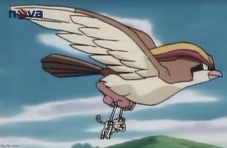 now introducing: GIGANTAMAX PIDGEOT! | image tagged in memes,funny,pokemon,pokemon sword and shield | made w/ Imgflip meme maker