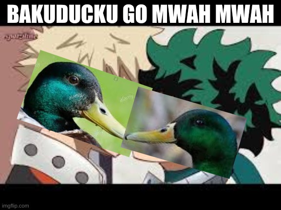 originally something for a comment but here we are | BAKUDUCKU GO MWAH MWAH | image tagged in ducks,bakudeku,bakugo,deku | made w/ Imgflip meme maker