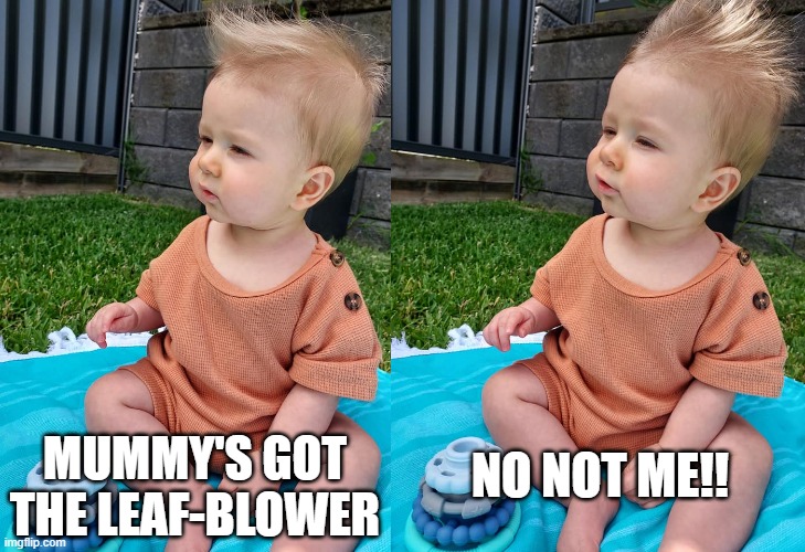 B-lower | MUMMY'S GOT THE LEAF-BLOWER; NO NOT ME!! | image tagged in baby | made w/ Imgflip meme maker