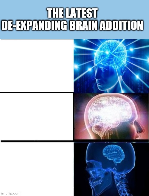 De-expanding brain 3 panels | THE LATEST DE-EXPANDING BRAIN ADDITION | image tagged in de-expanding brain 3 panels | made w/ Imgflip meme maker