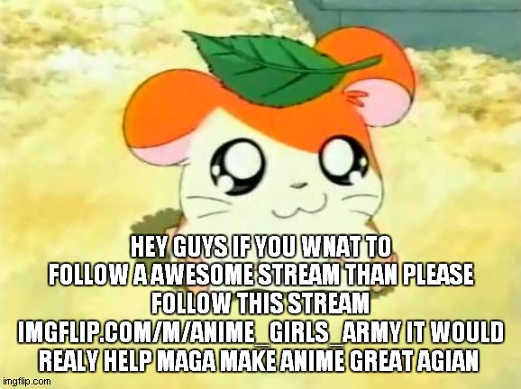 imgflip.com/m/Anime_Girls_Army | HEY GUYS IF YOU WNAT TO FOLLOW A AWESOME STREAM THAN PLEASE FOLLOW THIS STREAM IMGFLIP.COM/M/ANIME_GIRLS_ARMY IT WOULD REALY HELP MAGA MAKE ANIME GREAT AGIAN | image tagged in memes,hamtaro | made w/ Imgflip meme maker