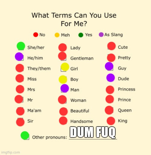 Pronouns Sheet | DUM FUQ | image tagged in pronouns sheet | made w/ Imgflip meme maker