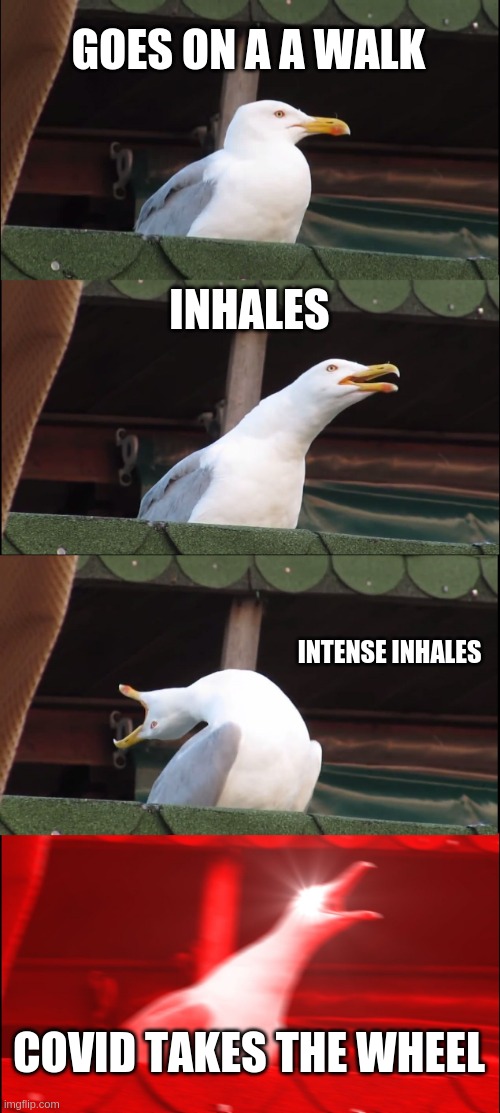 Inhaling Seagull | GOES ON A A WALK; INHALES; INTENSE INHALES; COVID TAKES THE WHEEL | image tagged in memes,inhaling seagull,covid19 | made w/ Imgflip meme maker