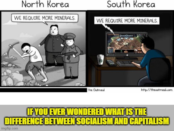 North vs. South | IF YOU EVER WONDERED WHAT IS THE DIFFERENCE BETWEEN SOCIALISM AND CAPITALISM | image tagged in capitalism,socialism,korea | made w/ Imgflip meme maker