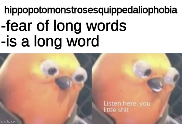 the choice of the definition of hippopotomonstrosesquippedaliophobia is not very pog | hippopotomonstrosesquippedaliophobia; -fear of long words
-is a long word | image tagged in listen here you little shit bird,bruh moment,certified bruh moment,bruh,unpog,why | made w/ Imgflip meme maker