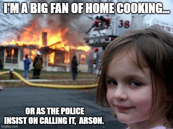 Disater | I'M A BIG FAN OF HOME COOKING... OR AS THE POLICE INSIST ON CALLING IT,  ARSON. | image tagged in disater | made w/ Imgflip meme maker