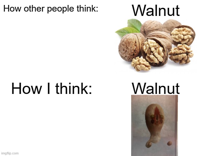 Walnut | Walnut; How other people think:; How I think:; Walnut | image tagged in memes,blank comic panel 2x2,scp meme,scp,peanut,scp 173 | made w/ Imgflip meme maker