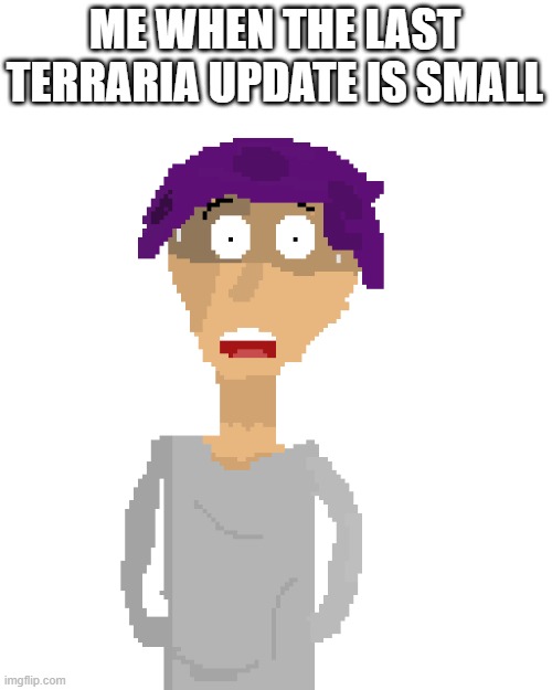 uhh | ME WHEN THE LAST TERRARIA UPDATE IS SMALL | image tagged in lollinglol spooped | made w/ Imgflip meme maker