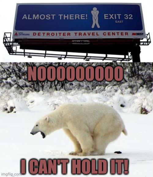 NOOOOOOOOO; I CAN'T HOLD IT! | image tagged in polar bear shits in the snow | made w/ Imgflip meme maker