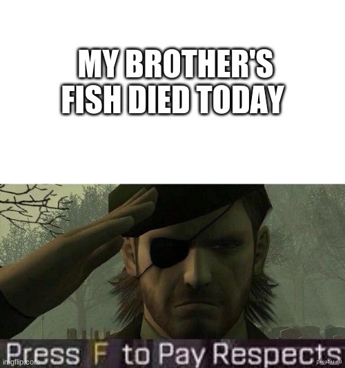 Press "F" to pay repects | MY BROTHER'S FISH DIED TODAY | image tagged in press f to pay repects | made w/ Imgflip meme maker