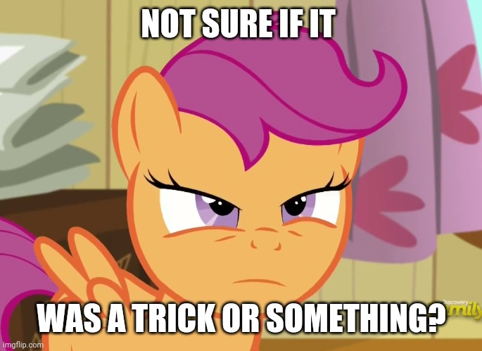 Suspicious Scootaloo (MLP) | NOT SURE IF IT WAS A TRICK OR SOMETHING? | image tagged in suspicious scootaloo mlp | made w/ Imgflip meme maker