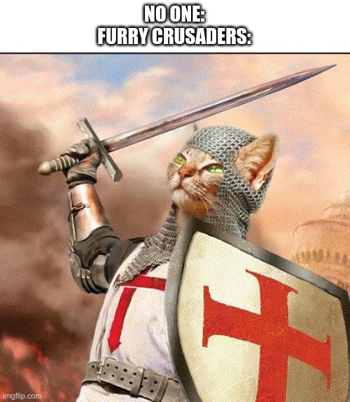 Crusader Cat | NO ONE:
FURRY CRUSADERS: | image tagged in crusader cat | made w/ Imgflip meme maker
