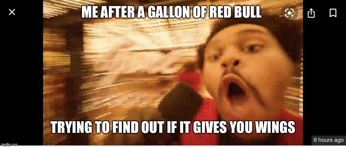 So true | ME AFTER A GALLON OF RED BULL; TRYING TO FIND OUT IF IT GIVES YOU WINGS | image tagged in the weeknd | made w/ Imgflip meme maker