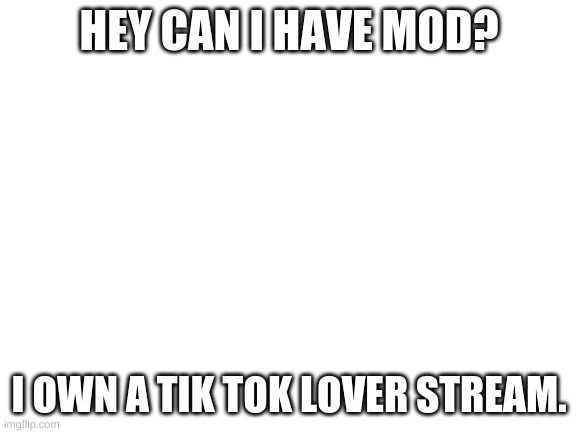please? tik tok is amazing | HEY CAN I HAVE MOD? I OWN A TIK TOK LOVER STREAM. | image tagged in blank white template | made w/ Imgflip meme maker