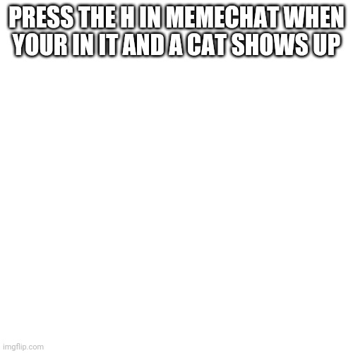 Little thing | PRESS THE H IN MEMECHAT WHEN YOUR IN IT AND A CAT SHOWS UP | image tagged in memes,blank transparent square,raycat | made w/ Imgflip meme maker