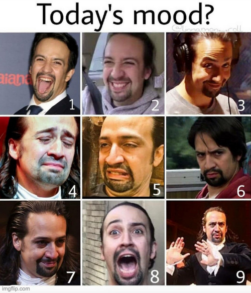 On This Lin Manuel Miranda Scale How Do All Of You Feel Today Imgflip