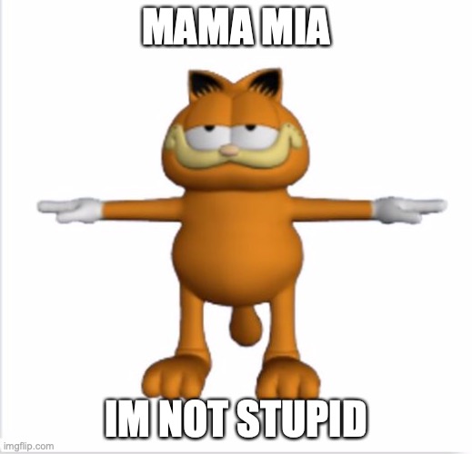 garfield t-pose | MAMA MIA; IM NOT STUPID | image tagged in garfield t-pose | made w/ Imgflip meme maker