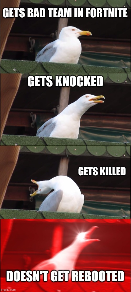 fortnite rage | GETS BAD TEAM IN FORTNITE; GETS KNOCKED; GETS KILLED; DOESN'T GET REBOOTED | image tagged in memes,inhaling seagull | made w/ Imgflip meme maker