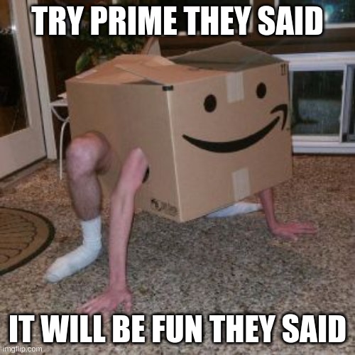 Amazon Box Guy | TRY PRIME THEY SAID; IT WILL BE FUN THEY SAID | image tagged in amazon box guy | made w/ Imgflip meme maker