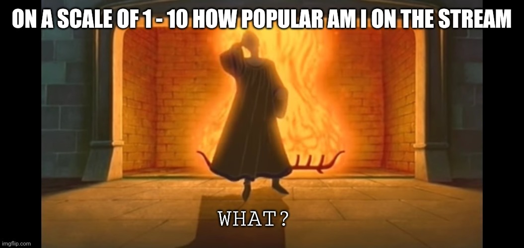 What? | ON A SCALE OF 1 - 10 HOW POPULAR AM I ON THE STREAM | image tagged in what | made w/ Imgflip meme maker